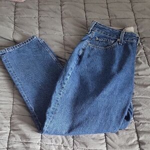 Everlane Curvy 90s Cheeky Straight Jean Nwt